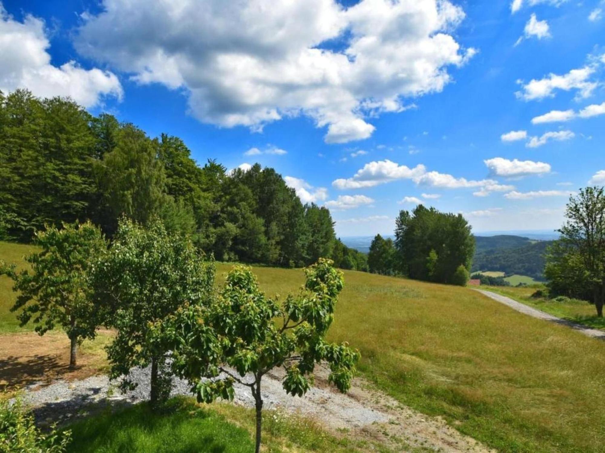 Comfortable Apartment In Zenting In Lower Bavaria Buitenkant foto